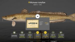 РАЗДАЧА ФАРМА И ТРОФОВ НА МОРЕ, КУЧА ЦВЕТА НА МЕДНОМ И ЯНТАРНОМ СВОДКА ПО ВОДОЕМАМ РУССКАЯ РЫБАЛКА 4