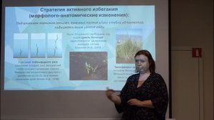 «Между морем и сушей: особенности жизни растений на побережье Белого моря»