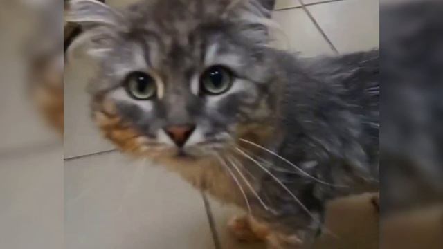 Когда одного сердца хватает на двоих! | Олан, Ула