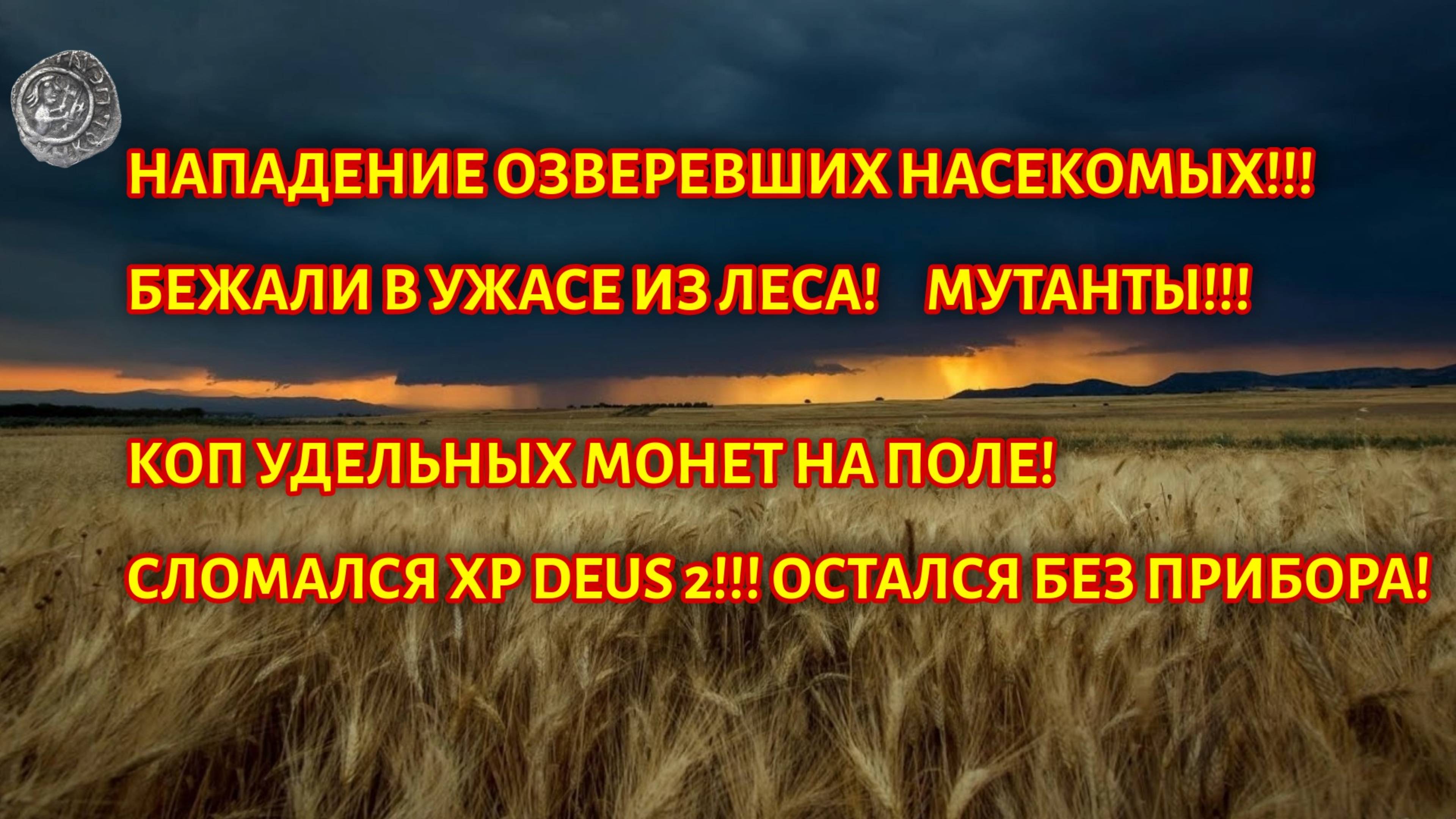 Нападение обезумевших насекомых на копе, поломка Xd Deus 2!