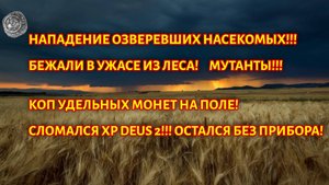 Нападение обезумевших насекомых на копе, поломка xd deus 2!