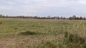 Просто так... Выпуск #10.