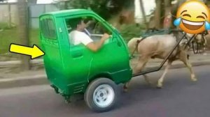 Я ржал до слез 😂 5 Минут смеха 2025 Смешные видео Лучшие Лютые ПРИКОЛЫ Октября! Подборка