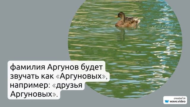 Фамилия Аргунов: исследуем происхождение, историю и значение, а также узнаем правила склонения