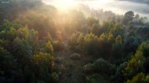 Sunny Mornings Beautiful Relaxing Music with Piano Guitar Bird Sounds by Peter B Helland