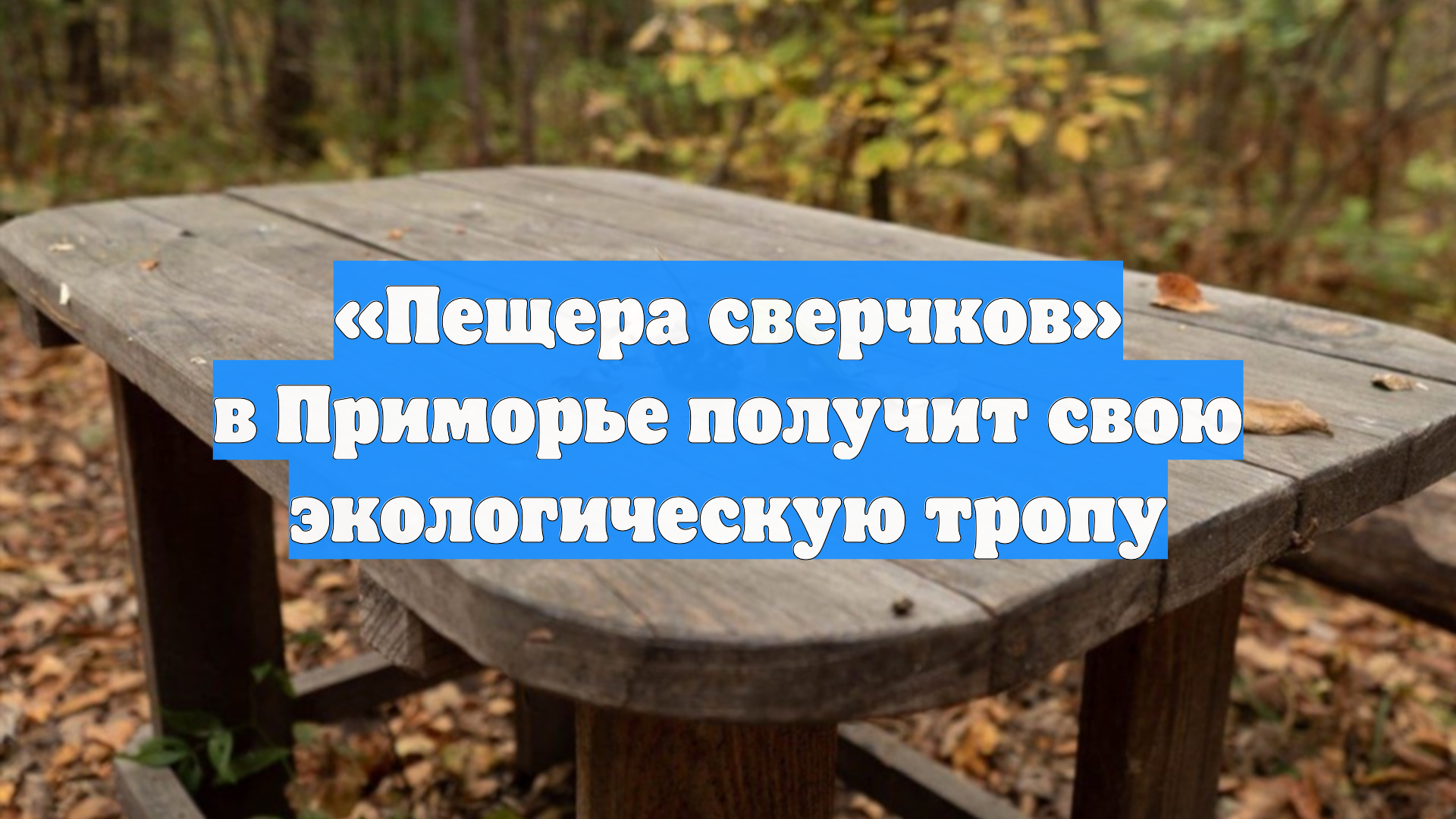 «Пещера сверчков» в Приморье получит свою экологическую тропу