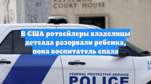 В США ротвейлеры владелицы детсада разорвали ребенка, пока воспитатель спала