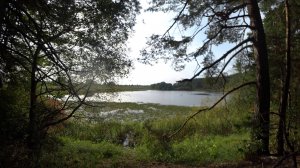 Велопоездка на остров Лохин