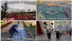 ВЛОГ 🏠 Съездили в питомник, купили две розы. Готовимся к заливке дорожки. У нас очень холодно