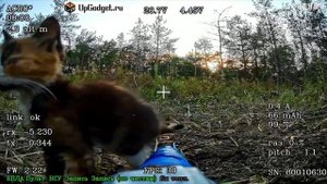 Котик пришел проверить как дела у FPV-шки камикадзе Veдьмы в засаде. Самое милое видео 2025 года