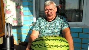 О хранении арбузов