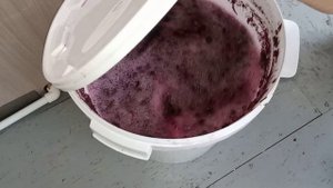 Домашнее вино.