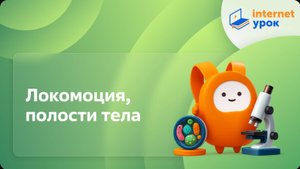 Локомоция, полости тела. Видеоурок по биологии 7 класс