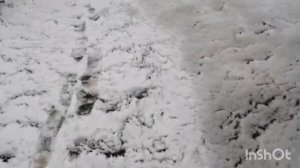 Влог :Первый снег ❄️/Алтайский край