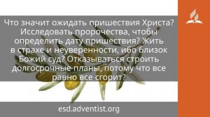 7 октября 2025. «Не знаете, в который час…». Под сенью благодати | Адвентисты