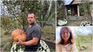 Живем на юге. Начало октября, много яблок и жуков