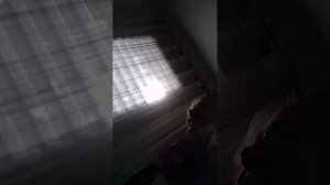 моя жизнь (часть 4)