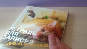 открыл все пакетики? распаковка бумажных сюрпризов