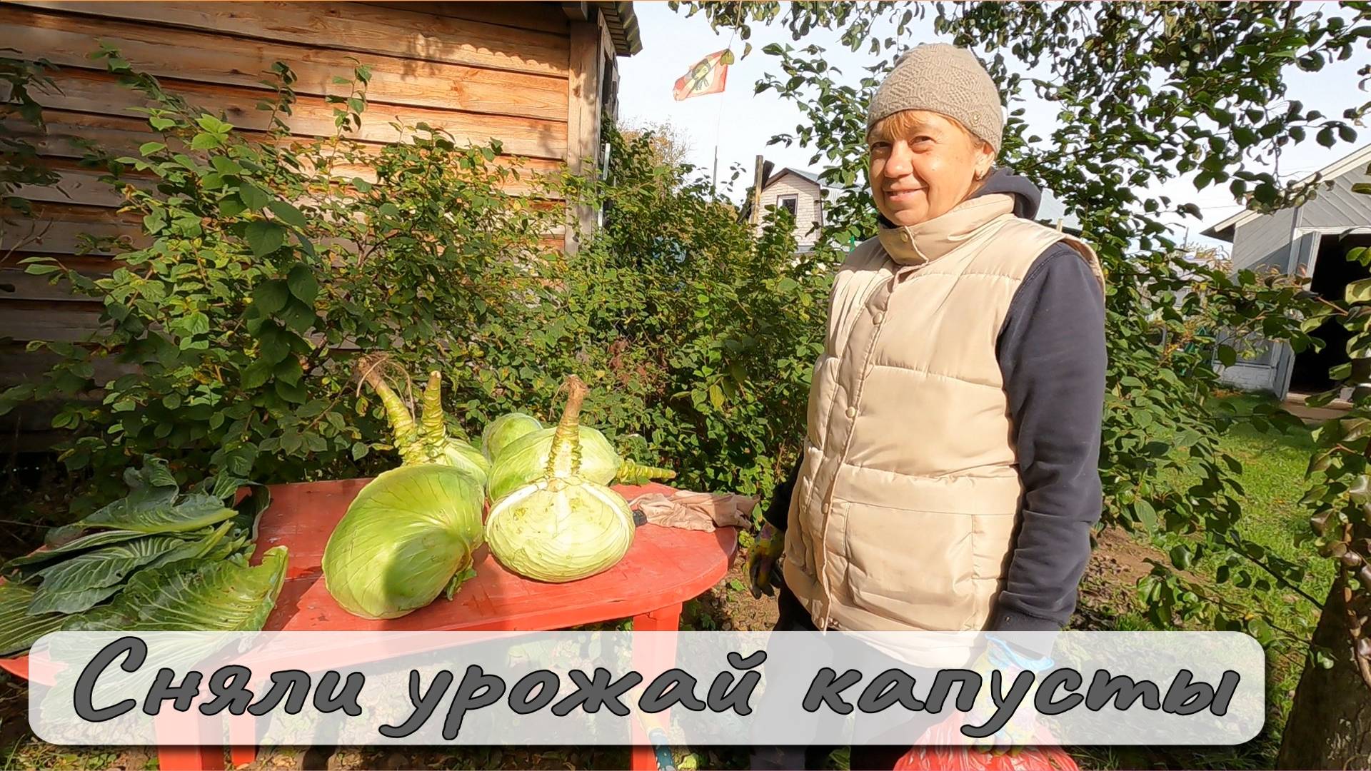 Сняли урожай капусты