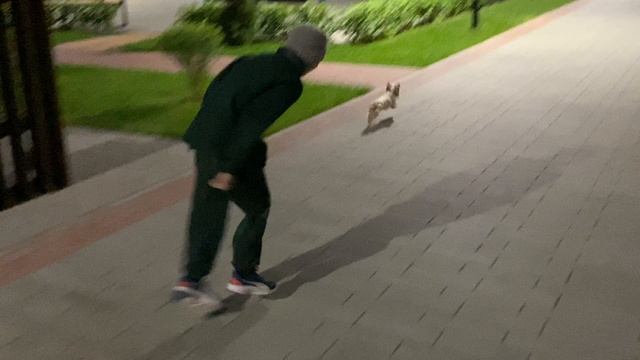 Быстрая ракета -3