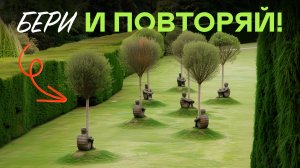 Посадите Это В Октябре 2025 Не Узнаете Сад Весной!