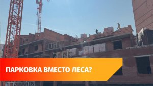 Застройщик требует у мэрии Уфы удалить леса с геоинформационной системы