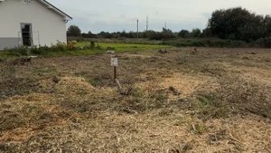 Луговая 39, Пионерский, Калининградская область