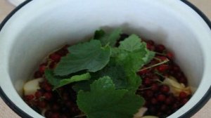 Компот из яблок и красной смородины