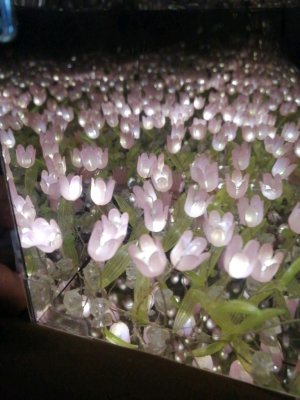 Правильно колесо 2