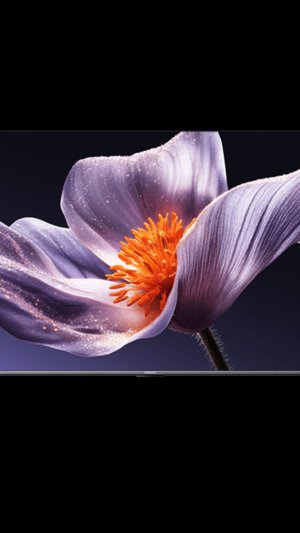 Прошивка на телевизор Xiaomi S 65 Mini led 288Hz 2025