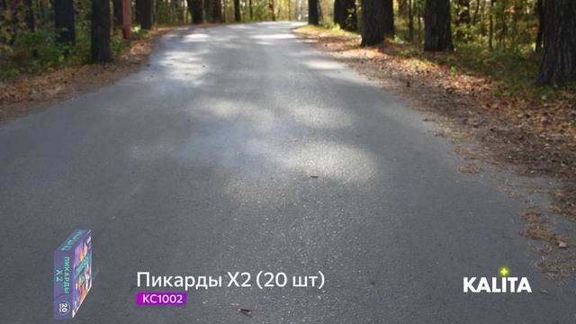 KC1002 Пикарды Х2 (20шт в упаковке) смотреть онлайн