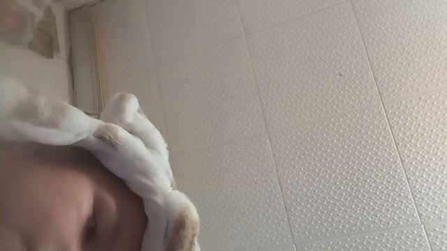 корова Дони начало