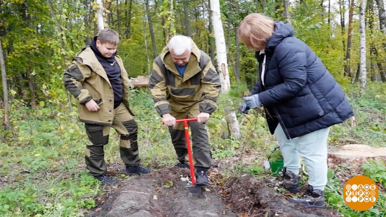 Здесь будет лес! Доброе утро. Фрагмент выпуска от 06.10.2025
