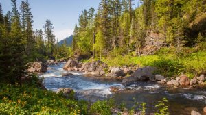 Байкальский заповедник