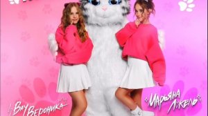 Чиловый котик