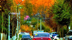 Покатушки ипо лесу и по городу