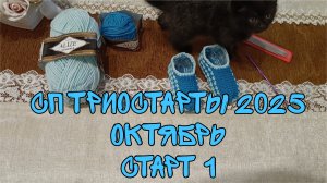 СП ТРИОСТАРТЫ 2025|ОКТЯБРЬ|СТАРТ 1| ПРОСТЫЕ ДЕТСКИЕ СЛЕДОЧКИ СПИЦАМИ