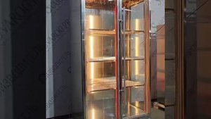 Шкаф сухого созревания Мяса Сварог. Dry ager beef Оборудование для профессионалов.