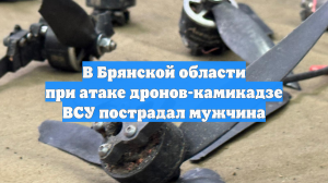В Брянской области при атаке дронов-камикадзе ВСУ пострадал мужчина