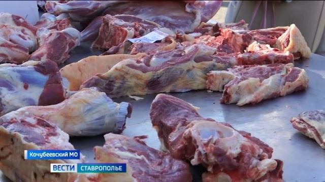 На Ставрополье прошла ярмарка «Сельское раздолье»