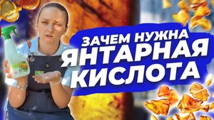 ЗАЧЕМ НУЖНА ЯНТАРНАЯ КИСЛОТА