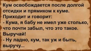 Кум после отсидки пришёл к куме. Сборник анекдотов