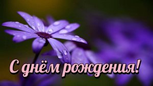 С днём рождения! Самые Красивые Поздравления с Днём Рождения - От Души, в Стихах