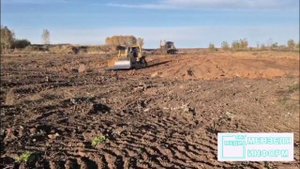 🌳В Мензелинске бывшая городская свалка превратится в цветущий сад.