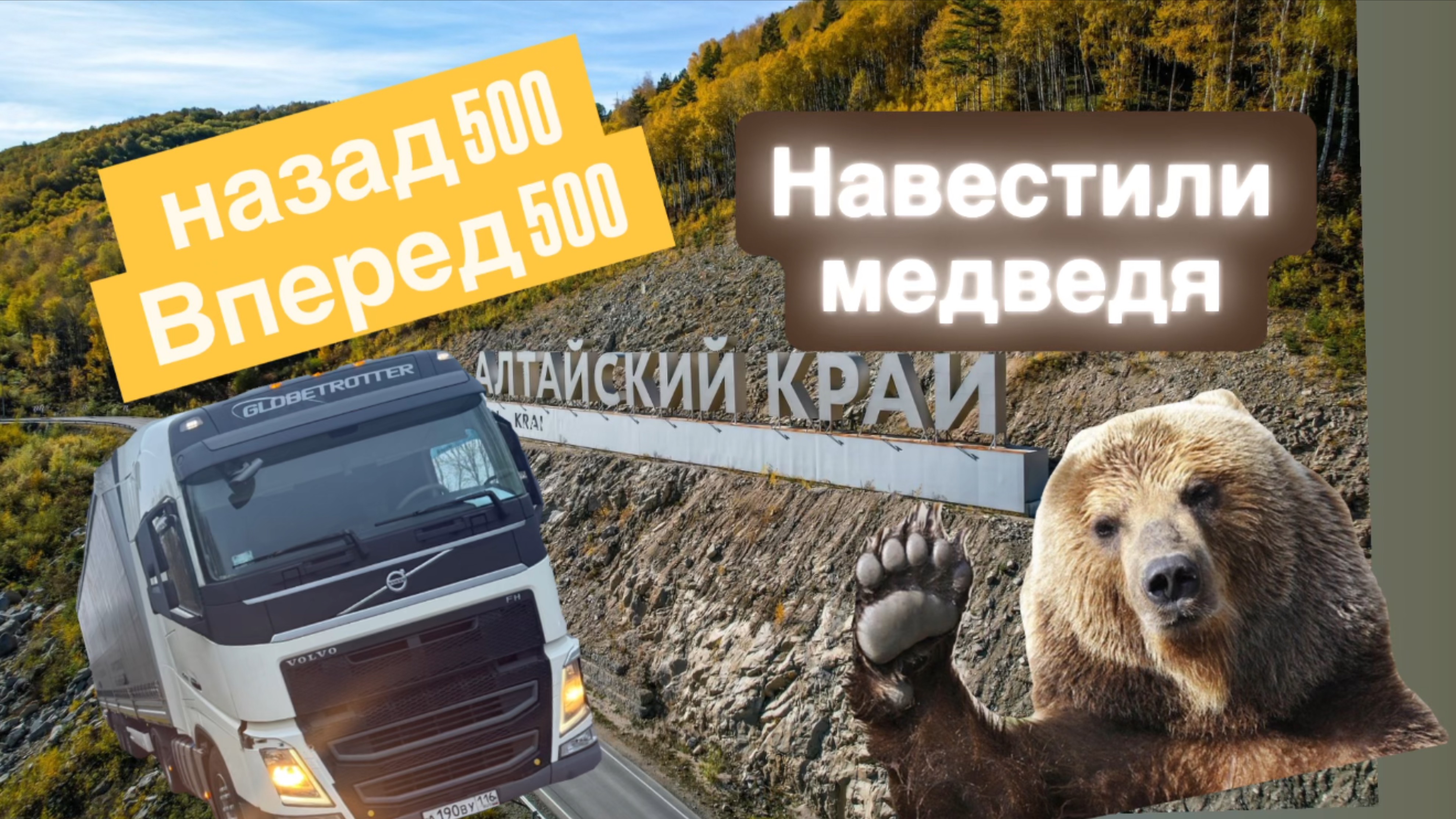 РЕЙС В АЛТАЙСКИЙ КРАЙУВИДИЛИ МЕДВЕДЯБАРНАУЛ-БИЙСК