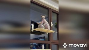 Это называется добрые и ласковые.