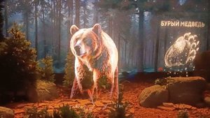 Путешествие по России