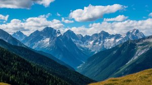 Артём Гельман - Прощай, братишка. Станиславу Янчишину