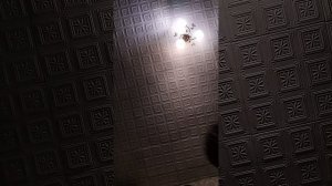 1000012467.mp4