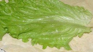 Начинка для лаваша с корейской морковкой